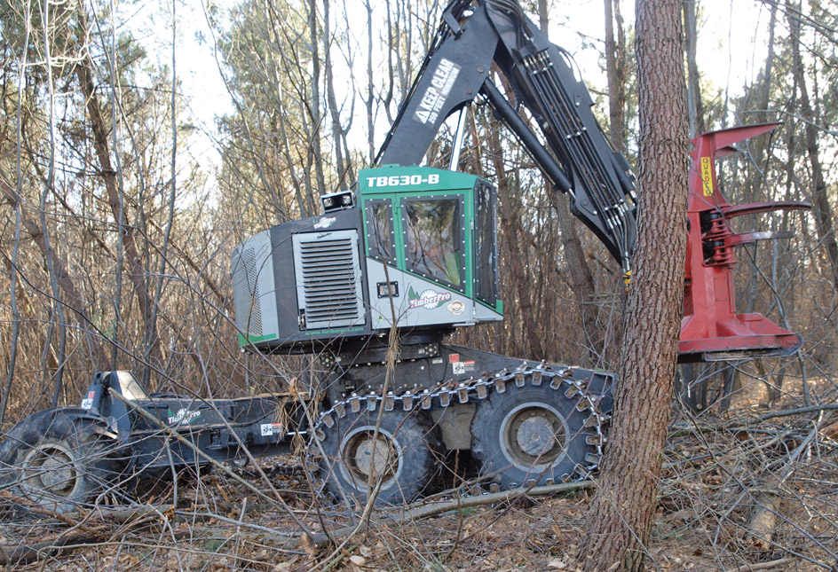 Frankreich: Mit dem Quadco Feller-Buncher am Timber Pro wird auf einer Kastanien-Stockausschlagfläche Industrie- und Energieholz geerntet.