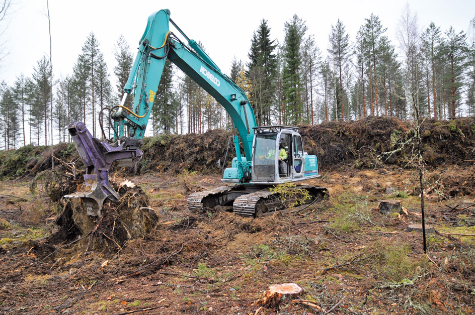 Finnland: Mit dem passenden Aggregat macht die Stubbenrodung richtig Spaß. Im finnischen Nordkarelien sahen wir bei der Stubbenrodung und der gleichzeitigen Pflanzplatzbereitung auf einer Kahlfläche zu.